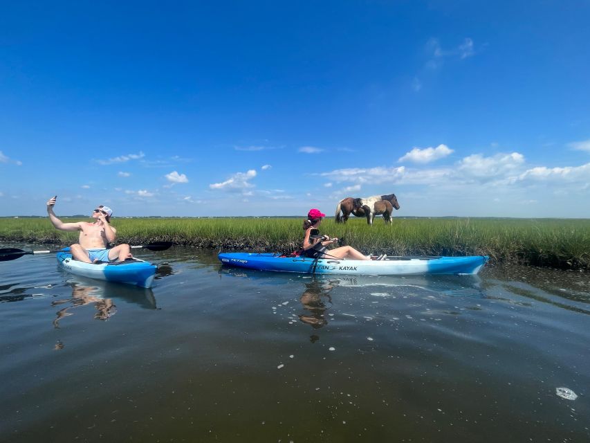 Berlin: Assateague Island Wildlife Discovery Kayak Tour - Learning the island’s natural and cultural story