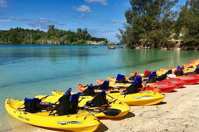 Bermuda Kayak Eco-Tour - Price, Port Convenience, and Overall Value