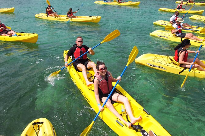 Best of Mangrove Lagoon Kayak, Hike and Snorkel Adventure with Picnic Lunch - Why the Mangrove Lagoon makes a better setting than a standard beach trip