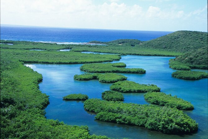 Best of Mangrove Lagoon Kayak, Hike and Snorkel Adventure with Picnic Lunch - Hiking Cas Cay to a rare blowhole