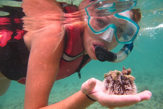 Best of Mangrove Lagoon Kayak, Hike and Snorkel Adventure with Picnic Lunch - What the guides add to the day