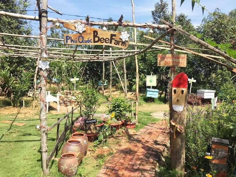 Best Seller Northern Phu Quoc & Kayak Aventure with lunch - Honey, plants, and a taste of the island