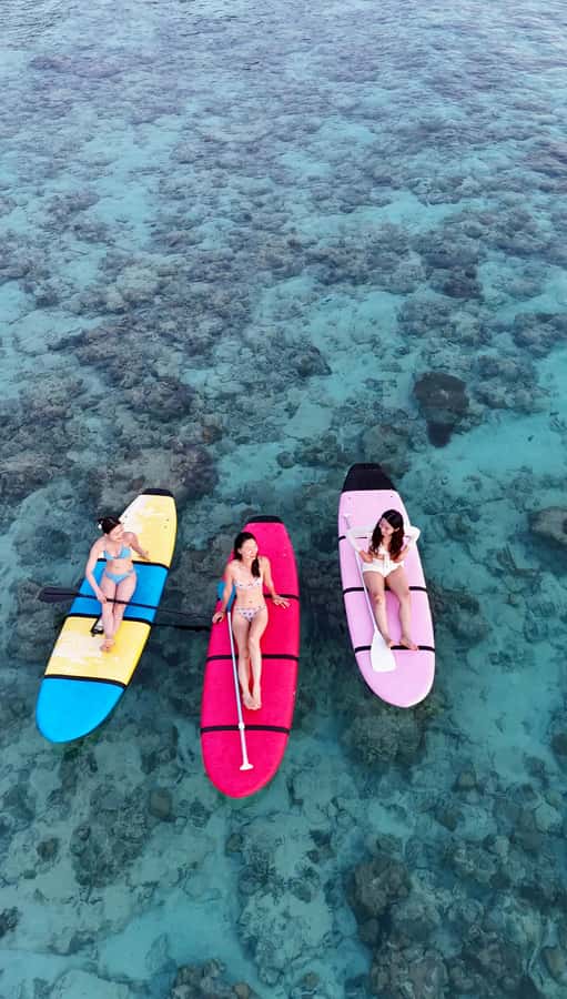 Best Sunrise SUP Or Kayak With Drone Shoot - Is $20 A Fair Price?