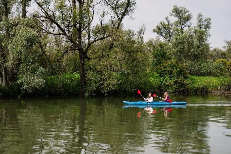 Biesbosch: Kayak Rental with Route Map and Life Jacket - Key points
