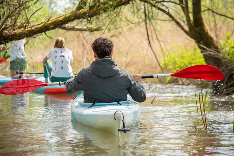 Biesbosch: Kayak Rental with Route Map and Life Jacket - Setting Out Through the Biesbosch Creeks