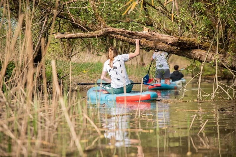 Biesbosch: Kayak Rental with Route Map and Life Jacket - Safety Gear and What to Pack