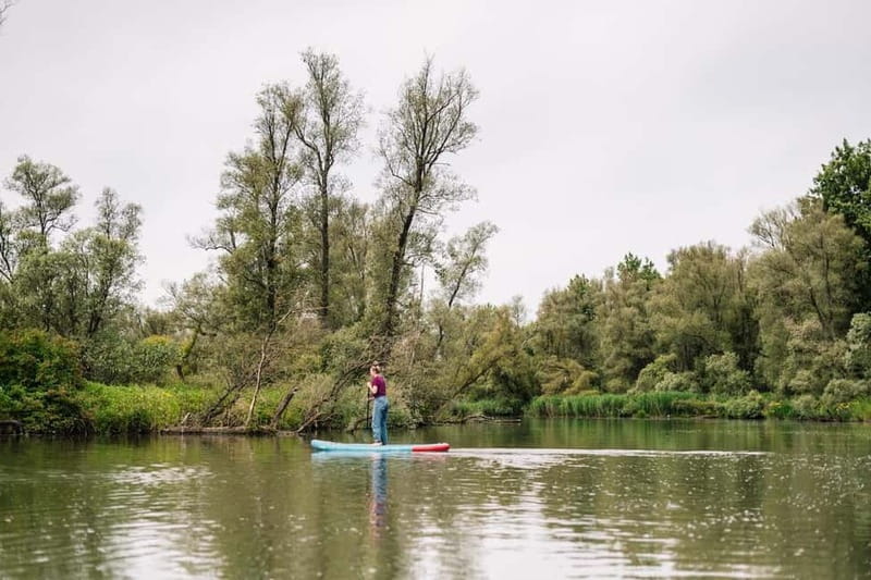 Biesbosch: SUP Board Rental - Setting out from Stayokay into the Biesbosch