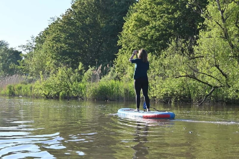 Biesbosch: SUP Board Rental - What the first 20 minutes feel like