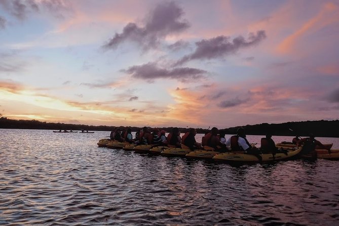 Bio Bay Kayak Tour in Fajardo - Who should book this Fajardo kayak tour