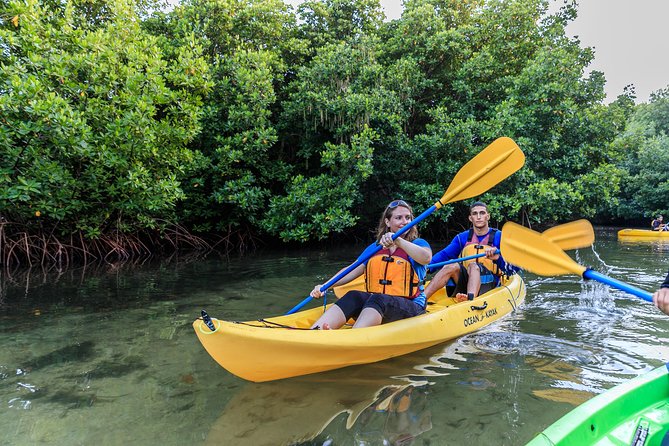 Bio Bay Night Kayak Tour with Transport from San Juan - Key points to know before you go