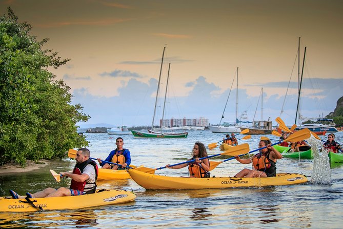 Bio Bay Night Kayak Tour with Transport from San Juan - The trip from San Juan to Fajardo