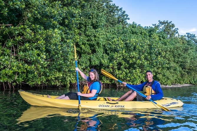 Bio Bay Night Kayak Tour with Transport from San Juan - Entering the mangrove channel near sunset