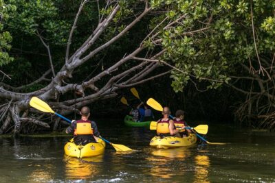 Bio Bay Night Kayak Tour with Transport from San Juan