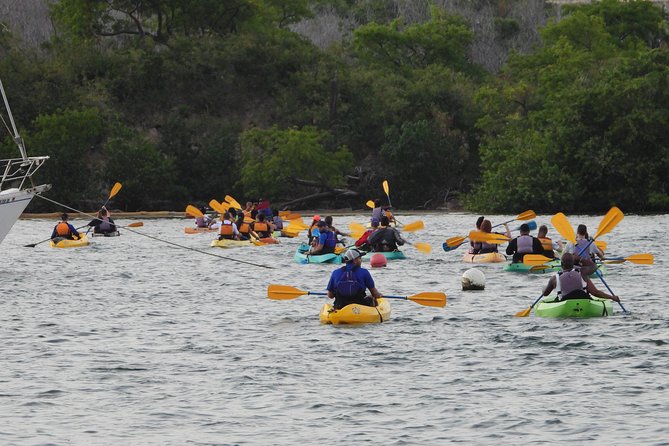 Bio Bay Night Kayak Tour with Transport from San Juan - What the $115 price really covers