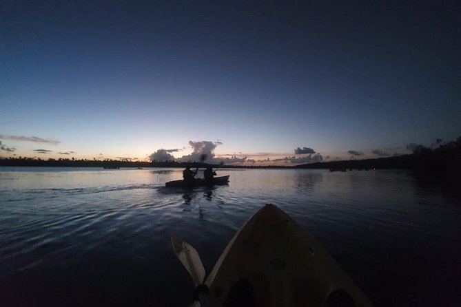 Bio Bay Night Kayak Tour with Transport from San Juan - Who should book this kayak tour