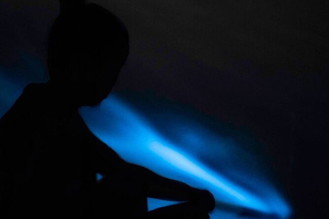 Bio-Luminescence and Sunset Kayak Tour - Calm water for first-time paddlers