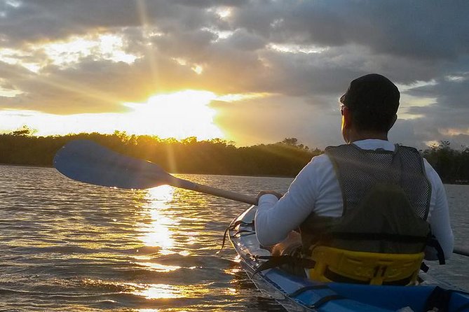 Bio-Luminescence and Sunset Kayak Tour - Three hours, with more waiting than racing
