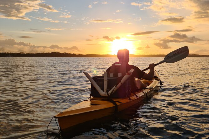 Bio-Luminescence and Sunset Kayak Tour - Mangroves, birds, and a local lesson in coconuts
