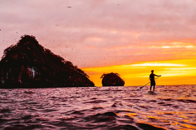 Bioluminescence by kayak or SUP to Los Arcos Puerto Vallarta - The meeting point and ride to Mismaloya