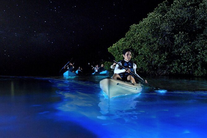 Bioluminescence Clear Kayak or Paddleboard Tour Near Orlando - Key things to know before you paddle