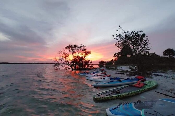 Bioluminescence Clear Kayak or Paddleboard Tour Near Orlando - What the guides add to the evening