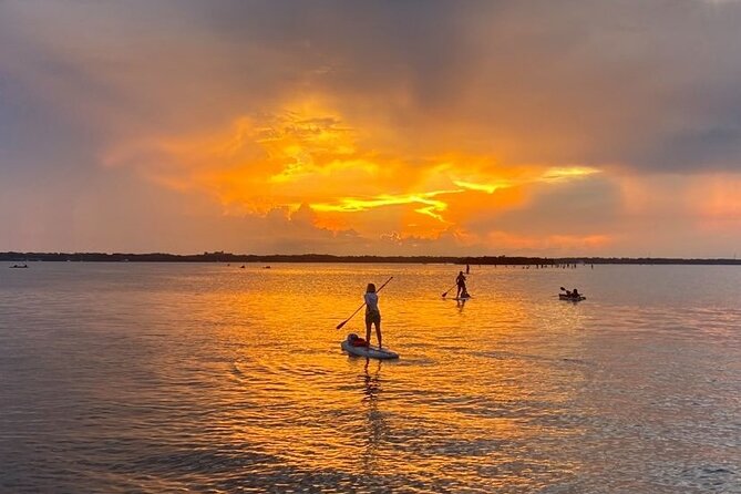 Bioluminescence Clear Kayak or Paddleboard Tour Near Orlando - Who will enjoy this most?