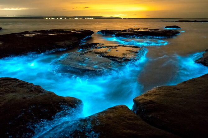 Bioluminescence Clear Kayak or Paddleboard Tour Near Orlando - Reaching Horseshoe Crab Island