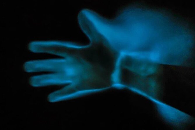 Bioluminescence Kayak Tour - Summer plankton or winter comb jellies?