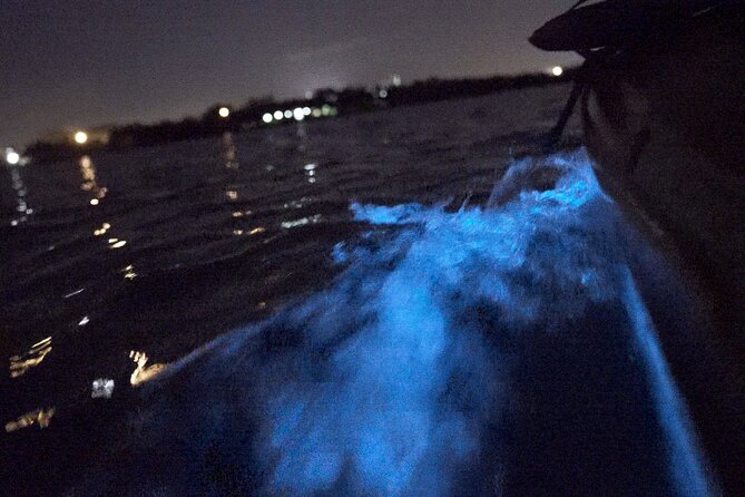 Bioluminescence Kayak Tour - How wet and strenuous is the tour?