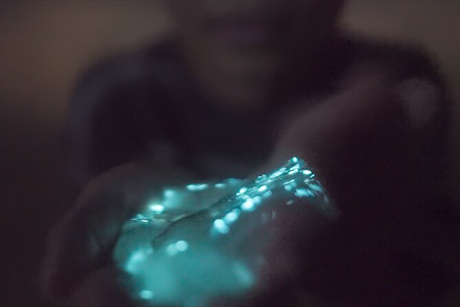 Bioluminescence Kayak Tour - Who should book this Cocoa Beach outing?