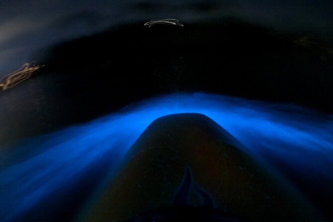 Bioluminescence Kayak Tour - Est. 1994 - The Best Part: Making the Water Spark