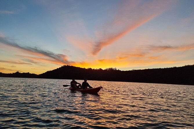 Bioluminescence Kayak Tour - Est. 1994 - Paddling Long Bay-Okura Marine Reserve