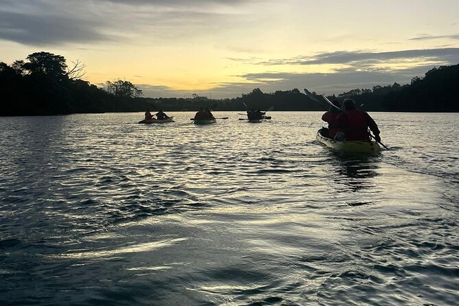 Bioluminescence Kayak Tour - Est. 1994 - Guides, Safety, and Group Size