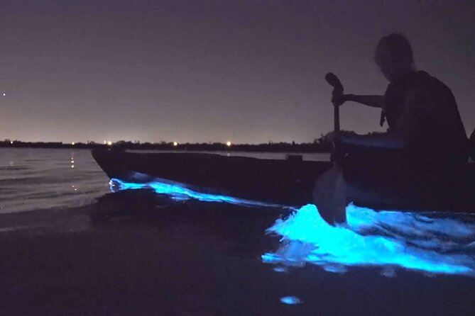 Bioluminescence Kayak Tour - Est. 1994 - Price and the Value of the Evening
