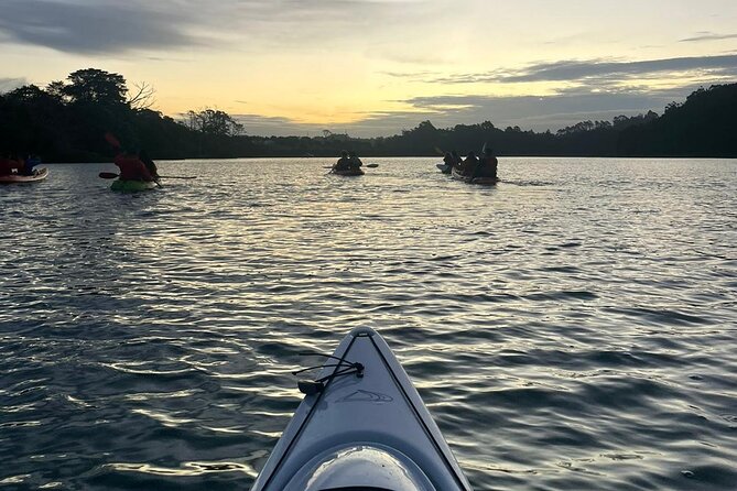 Bioluminescence Kayak Tour - Est. 1994 - Getting to the Meeting Point
