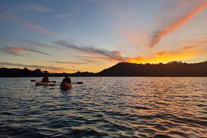 Bioluminescence Kayak Tour - Est. 1994 - What the Two-Hour Route Feels Like