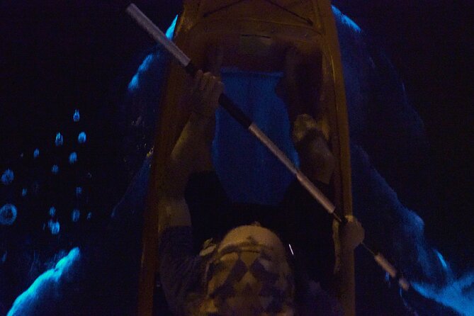 Bioluminescence Kayak Tour - What the two-hour route feels like