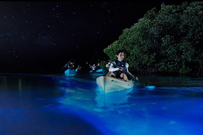Bioluminescence Night Kayaking Tour of Merritt Island Wildlife Refuge - Why the Banana River glows after dark