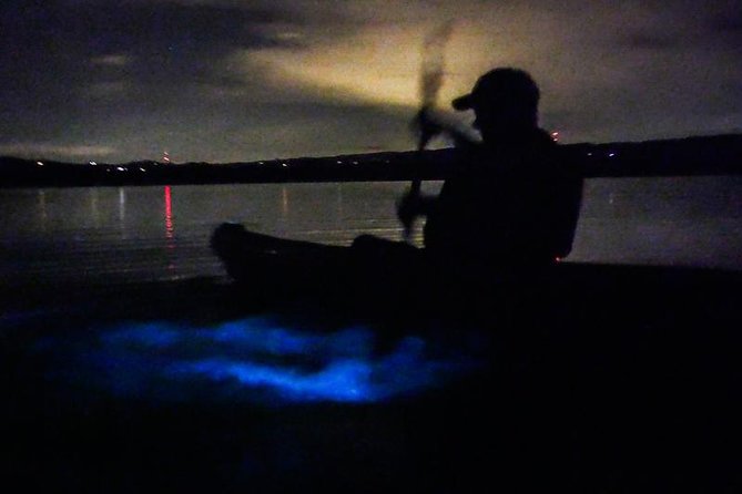 Bioluminescence Night Kayaking Tour of Merritt Island Wildlife Refuge - What the $75 price really covers