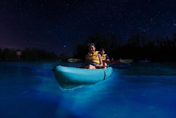 Bioluminescence Night Kayaking Tour of Merritt Island Wildlife Refuge - Weather, wind, moonlight, and expectations