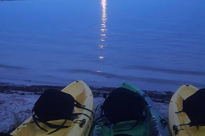 Bioluminescence Night Kayaking Tour of Merritt Island Wildlife Refuge - From Haulover Canal to the first paddle strokes