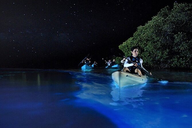 Bioluminescence Tour in Kayak in Holbox Island - From your hotel to Mosquito Beach