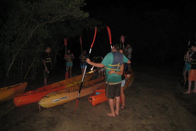 Bioluminescent Bay Kayak Trip from Vieques - Key points to know before you book