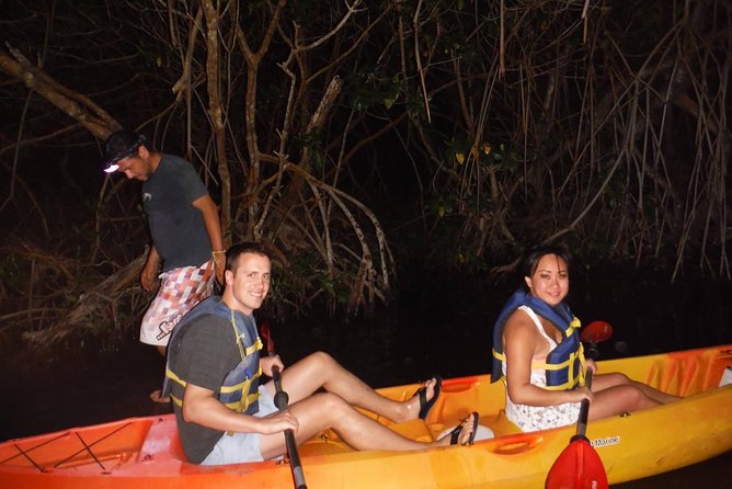 Bioluminescent Bay Kayak Trip from Vieques - Why Mosquito Bay glows after dark
