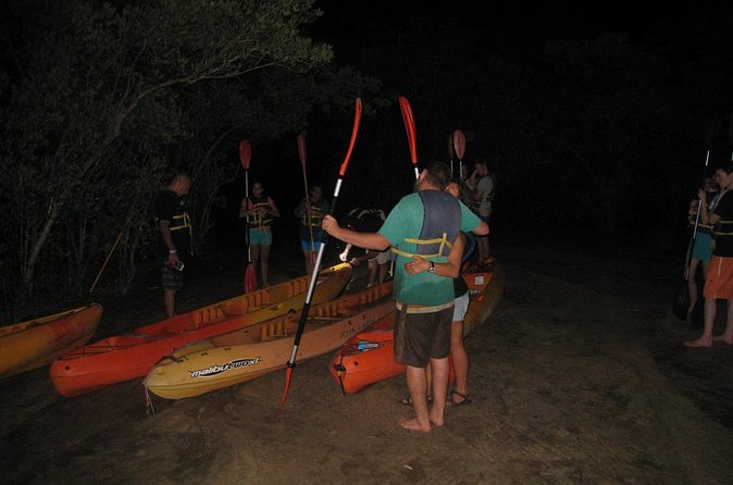 Bioluminescent Bay Kayak Trip from Vieques - Paddling in a clear-bottom kayak