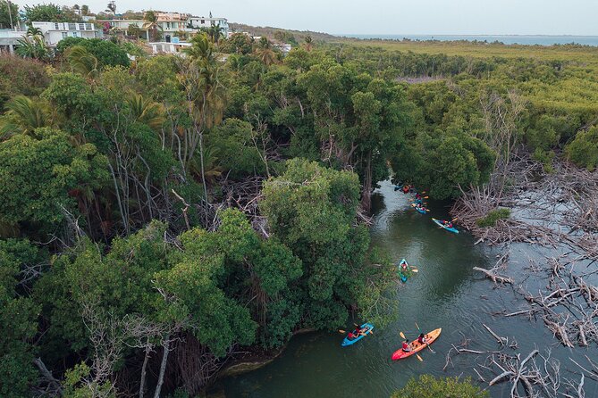 Bioluminescent Bay Night Kayaking Adventure in Puerto Rico - How long the outing really takes