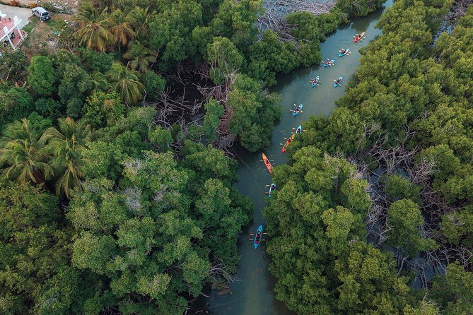 Bioluminescent Bay Night Kayaking Adventure in Puerto Rico - What the $80 price buys you