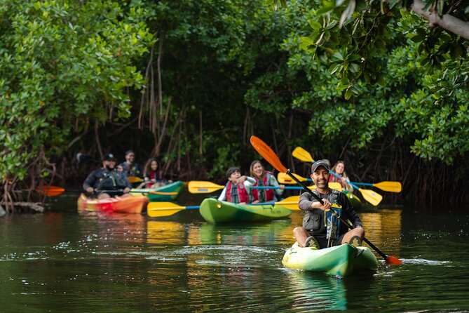 Bioluminescent Bay Night Kayaking Adventure in Puerto Rico - The biggest issue: crowds and group control