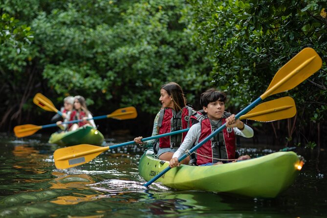 Bioluminescent Bay Night Kayaking Adventure in Puerto Rico - Why the mangroves matter