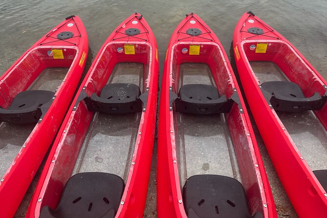 Bioluminescent Clear Bottom Kayak or Paddleboard Sit-On-Top Kayak Hybrid Tour! - The first minutes on the water